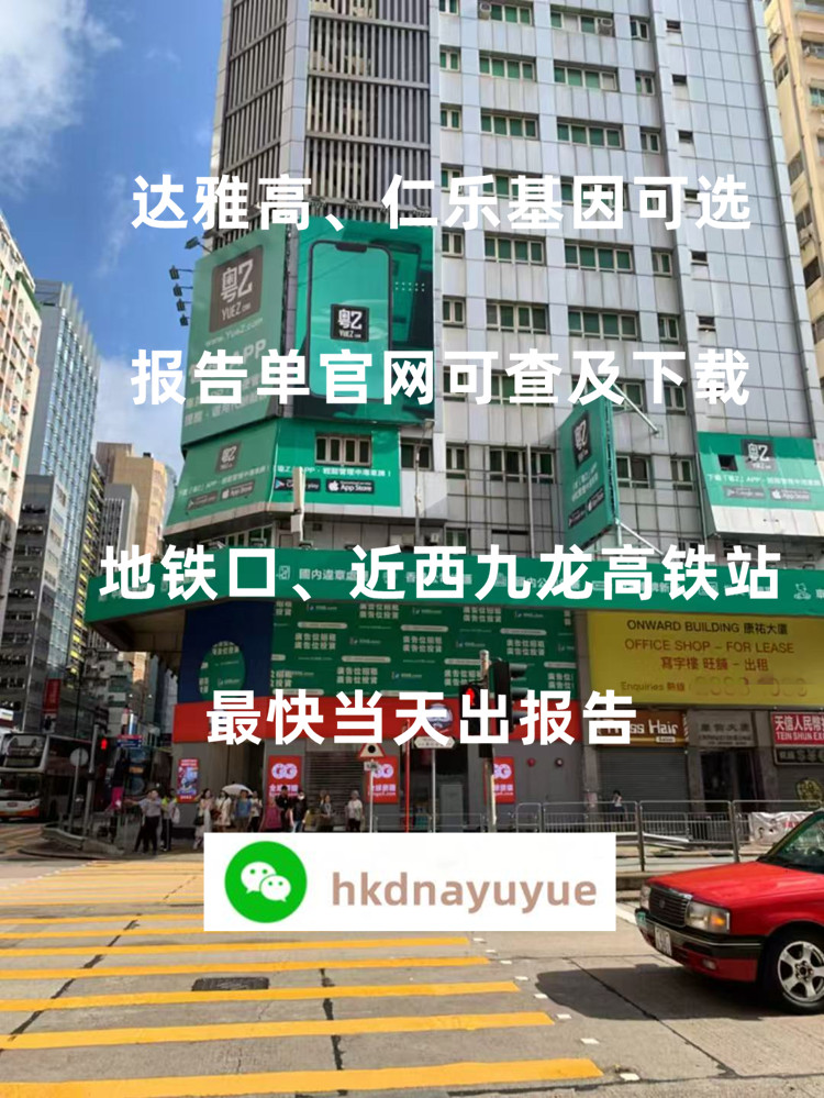 香港查血机构排名
