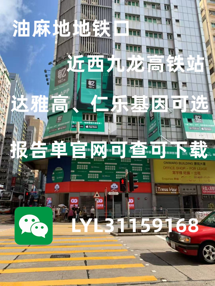 香港查血中介会乱出报告吗？